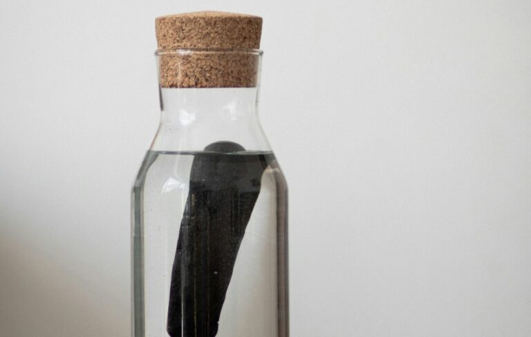 Filter bottles: our ally against water and plastic waste